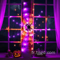 Lumière Web Halloween Spider
